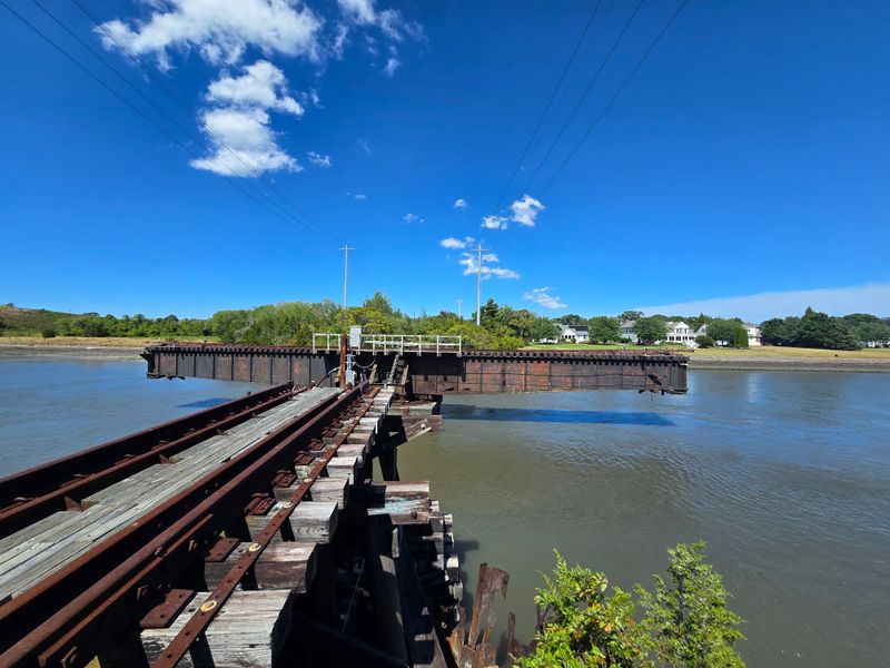 Bird Migration Central and the Birders Who Love It