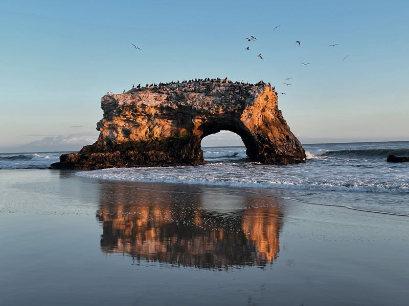 Santa Cruz To Davenport Along The Coast