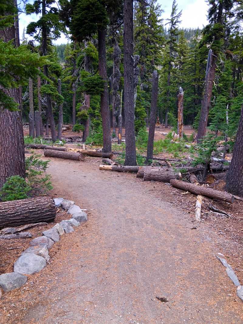 Wheelchair-Accessible Wonder With One Catch