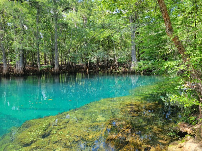 Manatee Springs State Park