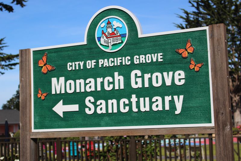 Monarch Grove Butterfly Sanctuary, Pacific Grove