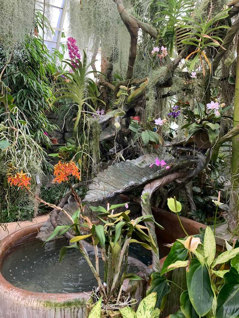 The Orchid Range Greenhouse: A Tropical Paradise in New Jersey