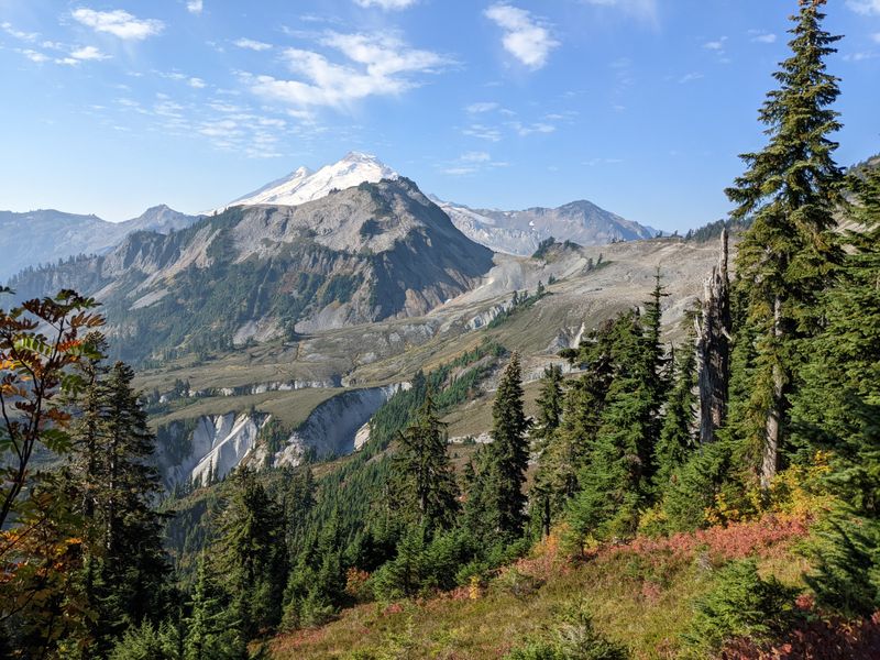 North Cascades National Park, Dense Pine Wilderness