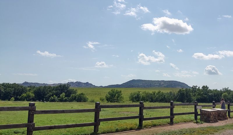 Prairie Dog Towns Full of Underground Antics