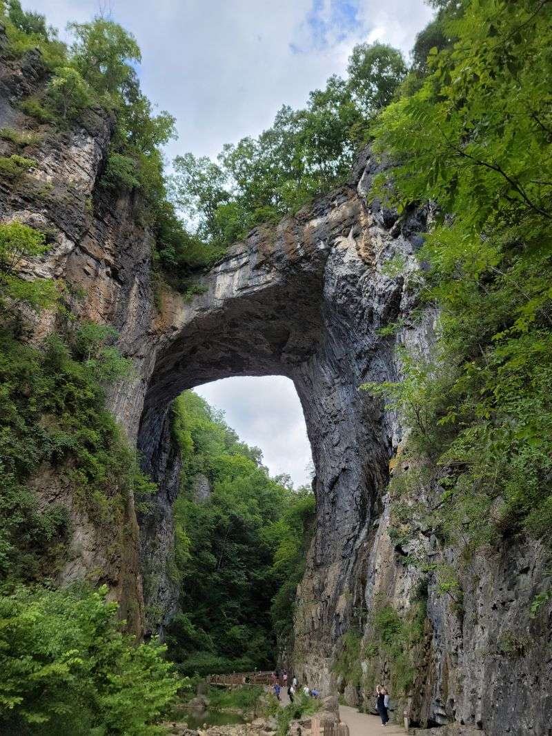 Natural Bridge State Park in Early Spring