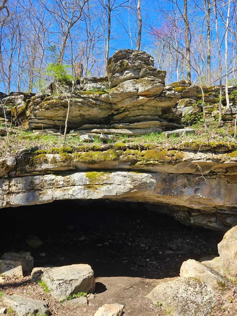Limestone Bluffs at Leonard Springs Nature Park