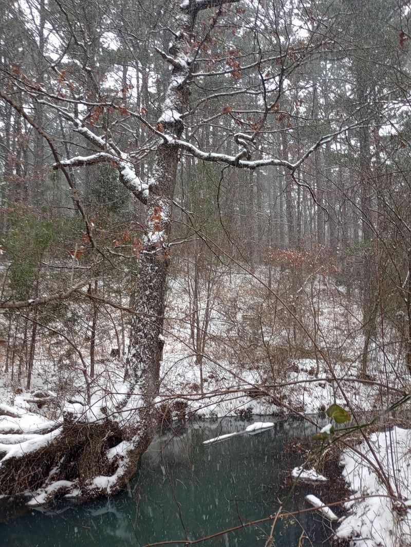 Seasonal Weather Patterns Create Distinct Visitor Experiences