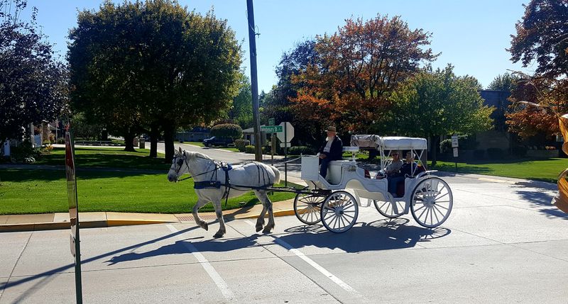 Handcrafted Furniture and Artisan Shops