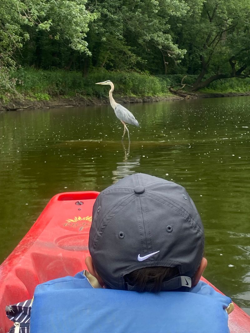 Rich Fishing Opportunities Draw Anglers to the Banks