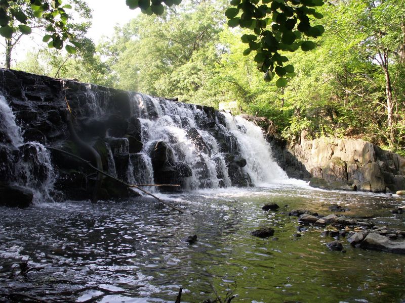 The Scenic Bus Ride Builds Anticipation And Provides Context