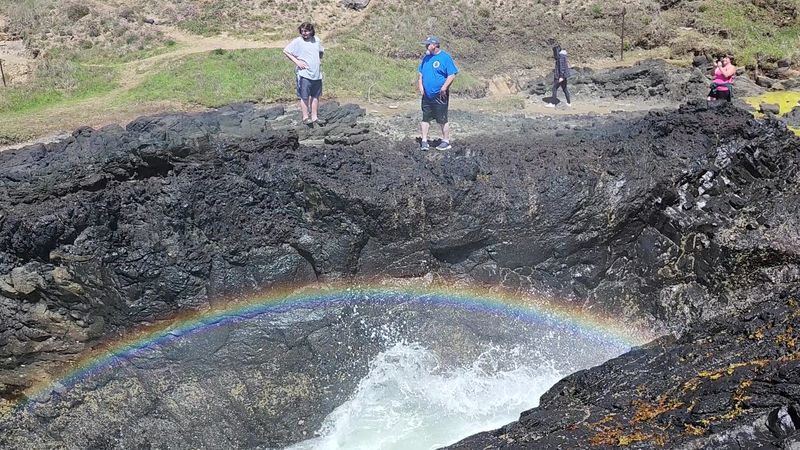 The Seven Wonders of Oregon, A Strange Beauty Tour
