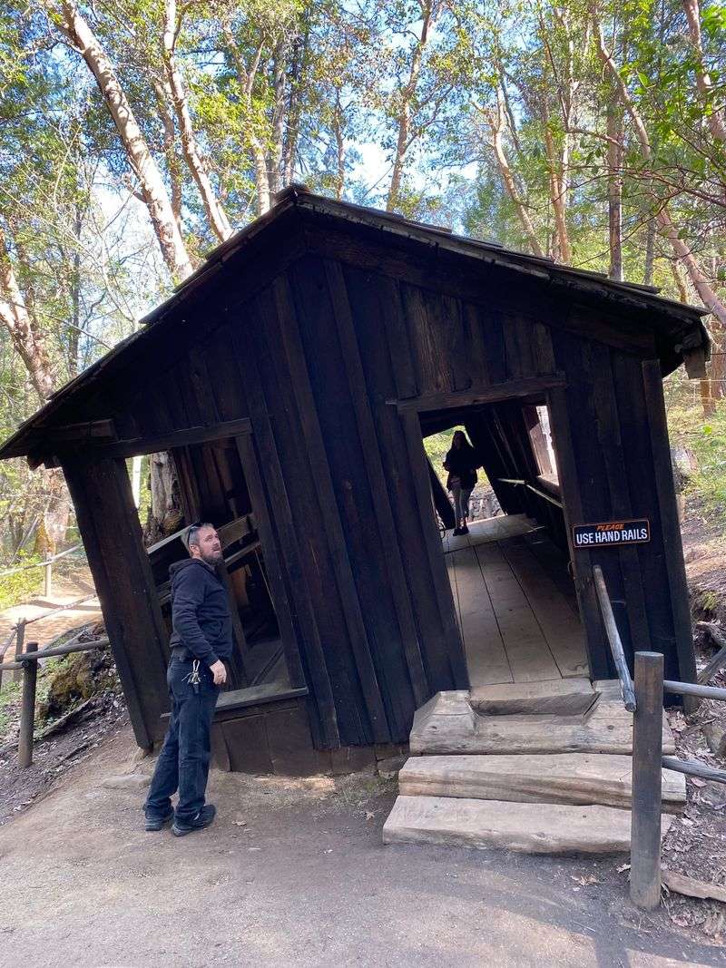 A Spherical Force Field Half Underground Creates Reversed Physics