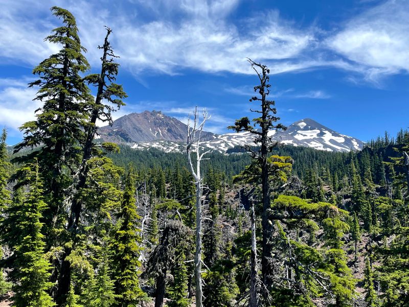 Obsidian Trail (Central Cascades)