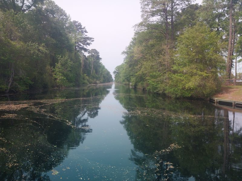 The Great Dismal Swamp