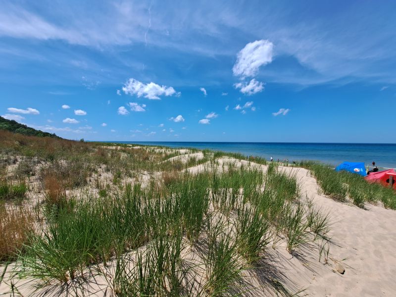 Bird Observation Tower Reveals Wildlife Diversity