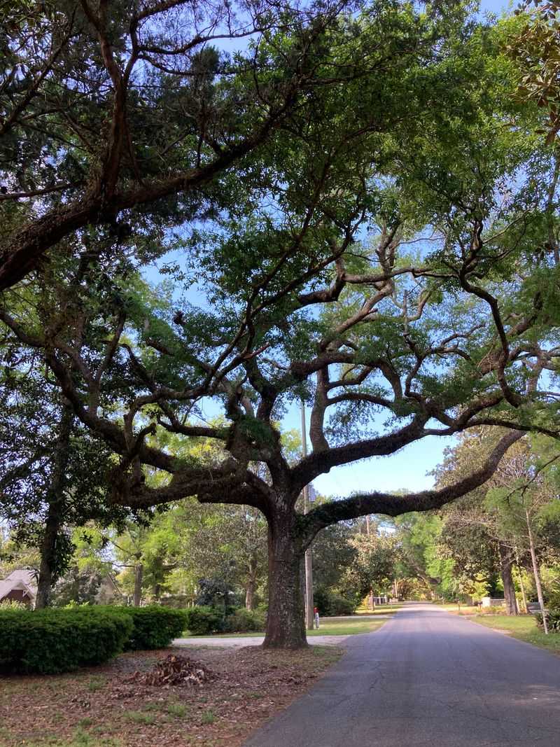 Tourism Never Overpowered Local Life