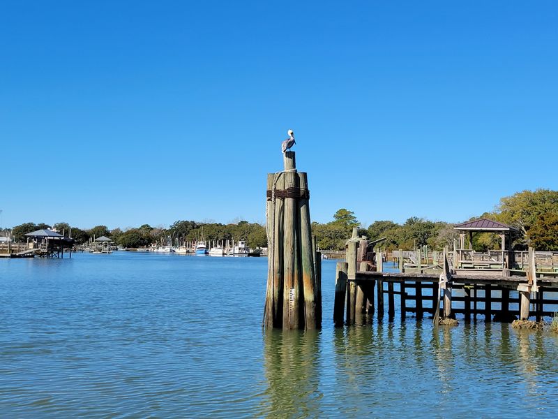 Shrimp Boats Still Line The Docks