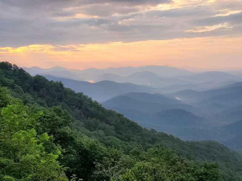 The Kind Of Quiet Outsiders Misread