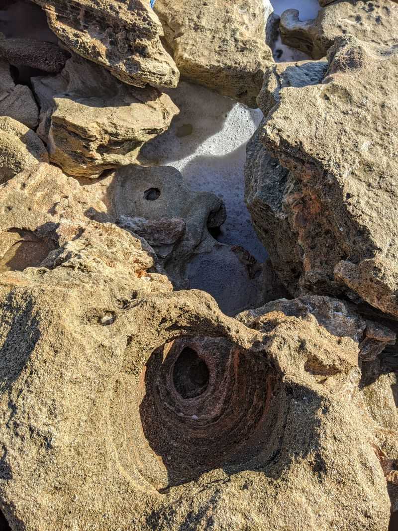 Coast Tide Pools and Quiet Parks