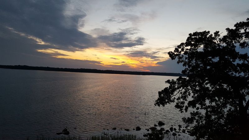 Wildlife Behavior Changes and Natural Habitats Face Pressure