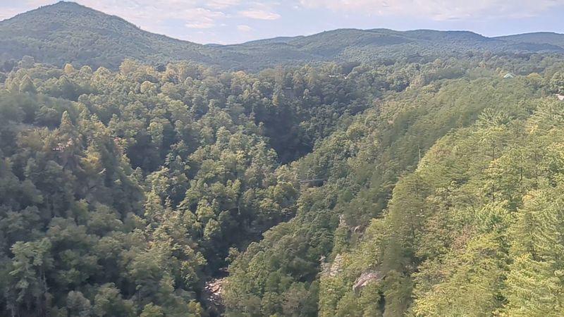 Surrounded By National Forest