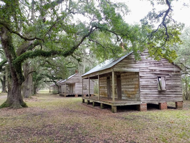 Evergreen Plantation