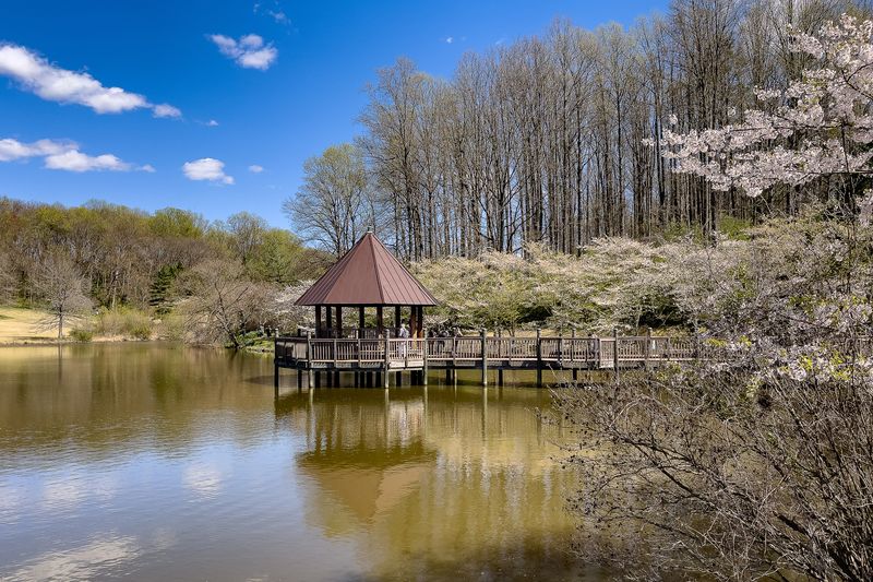 Meadowlark Botanical Gardens