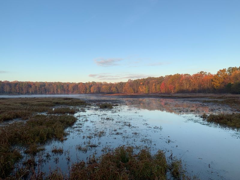 Seasonal Changes That Transform the Landscape
