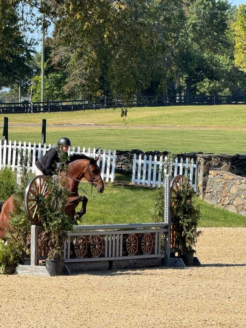 Middleburg: Hunt Country Elegance and Equestrian Tradition