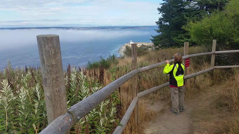 Paths That Feel Familiar Too Quickly