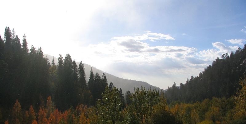 Sequoia National Park