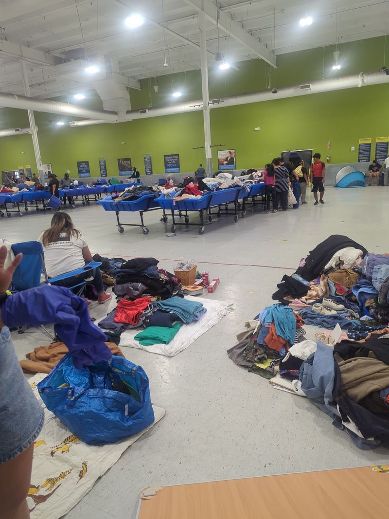 The Bin System That Separates Casual Shoppers From Hardcore Hunters