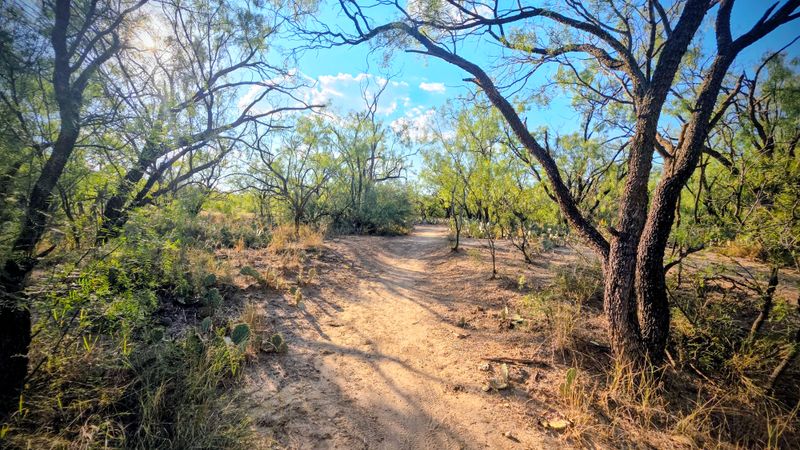 Lower Ghost Camp At San Angelo State Park