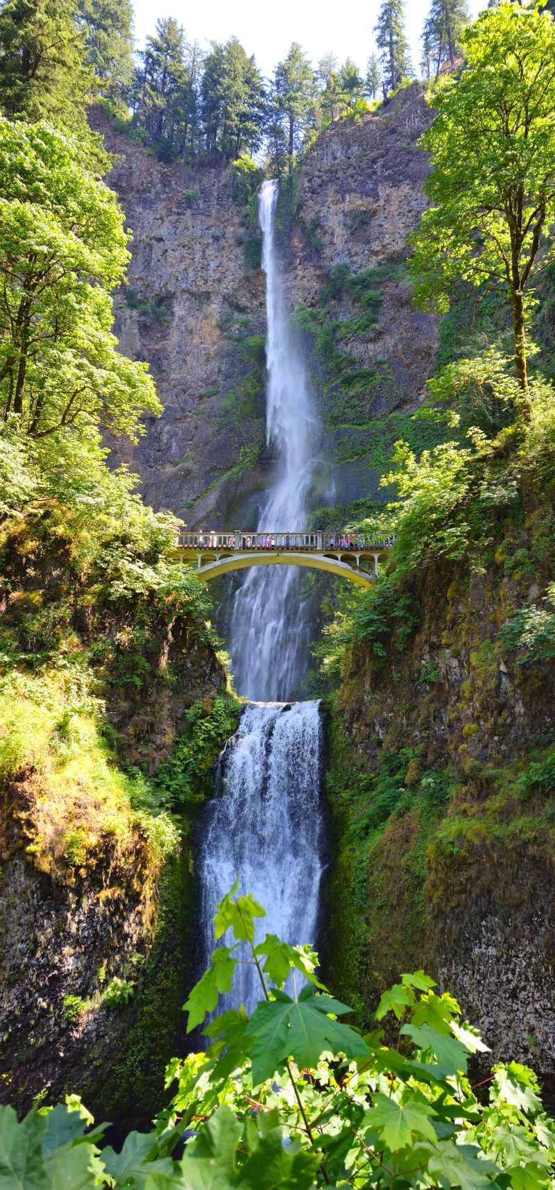 Columbia River Gorge and Waterfalls