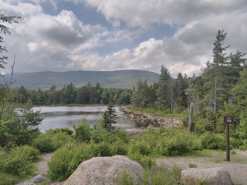 Named For A U.S. Senator’s Family