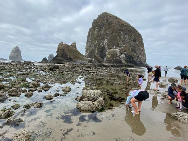 Why These Coastal Towns Feel Different Than They Used To