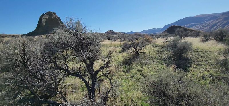 Blue Basin at John Day Fossil Beds