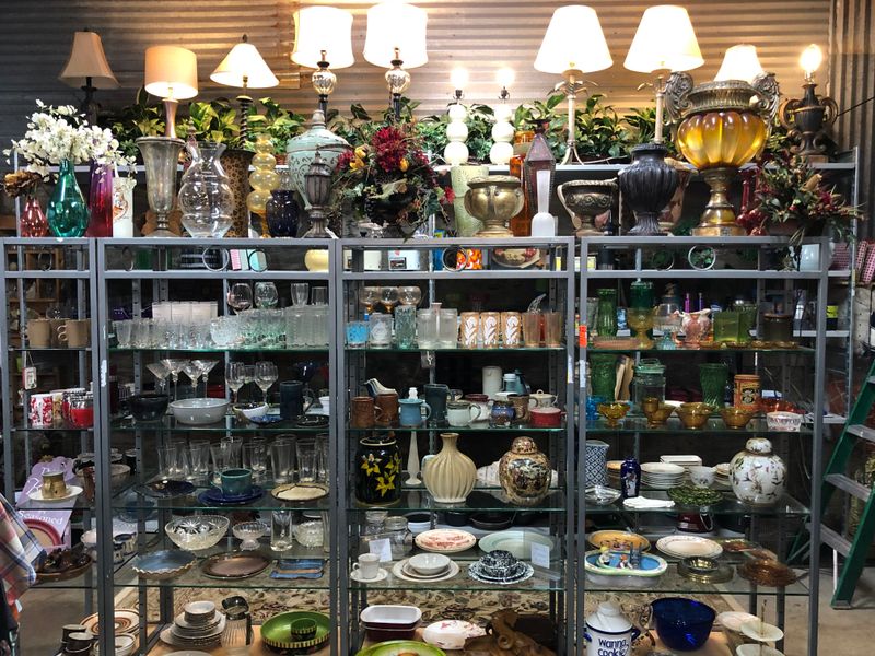 Daily New Arrivals Keep Every Visit Fresh