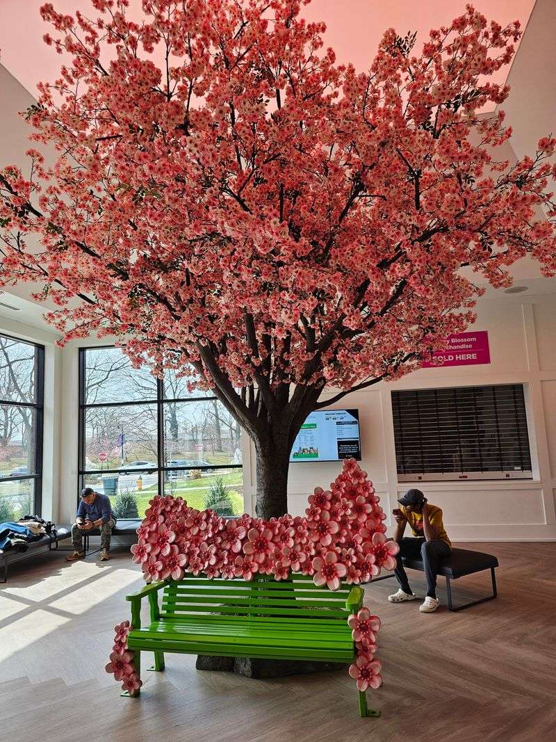 The Safety Concerns That Locals Whisper About