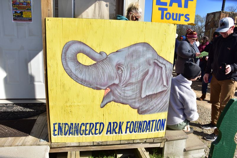 Elephant Art Makes For Unforgettable Souvenirs