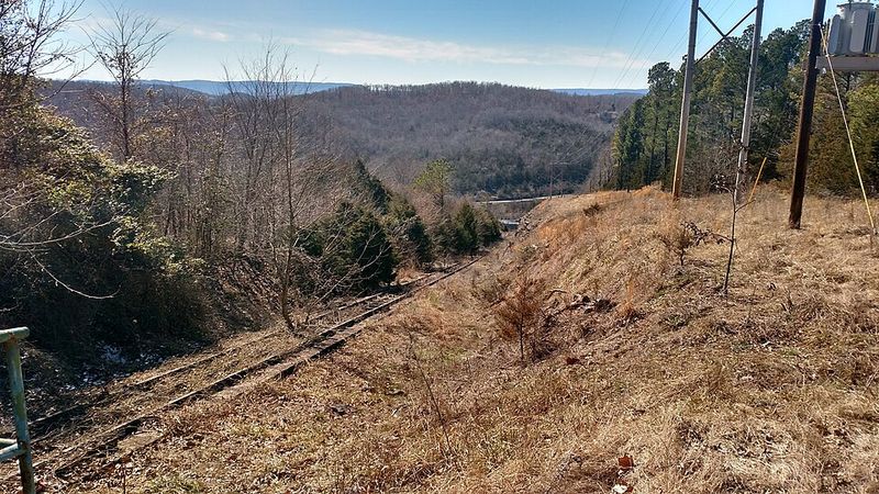 The Day Dogpatch Went Quiet