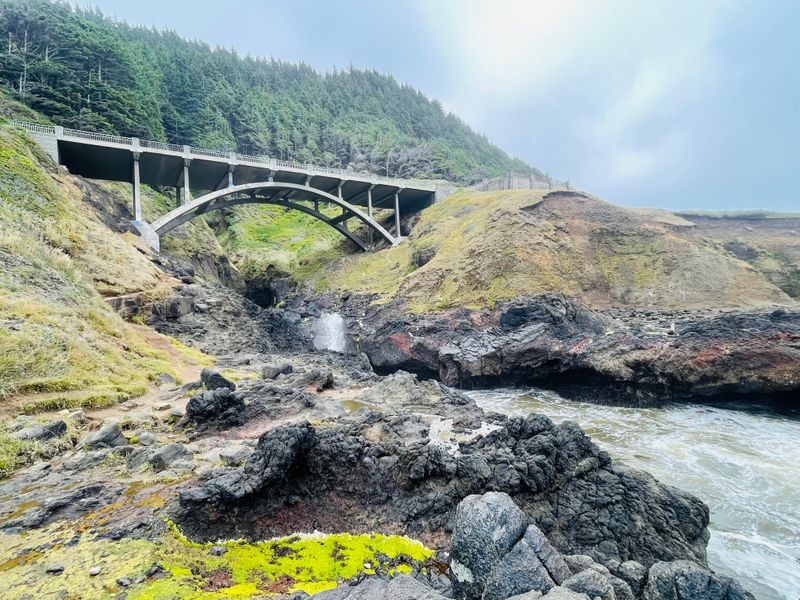 Siuslaw River Trail, Coast Range