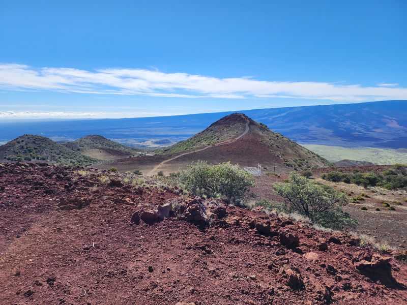 Mauna Kea State Recreation Area, Hawai'i Island