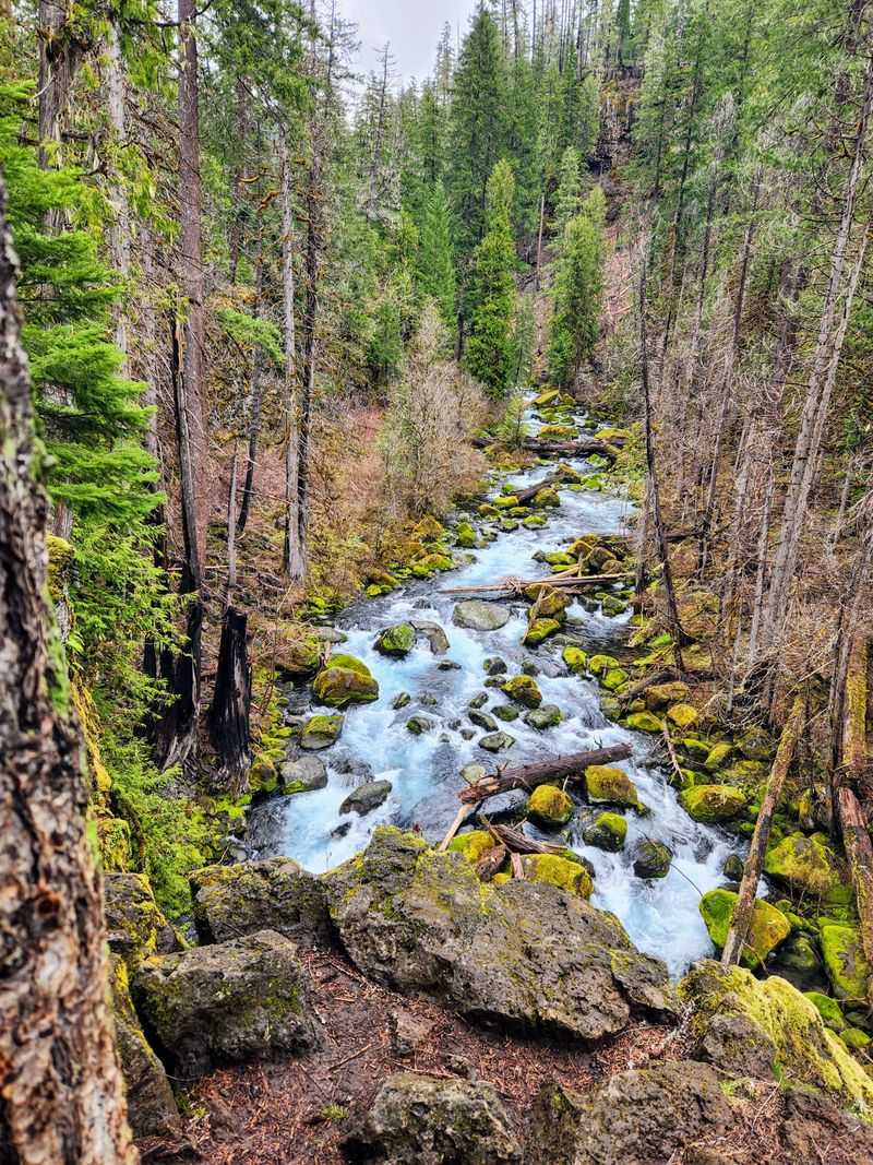 Tamolitch Falls, Blue Pool on the McKenzie River