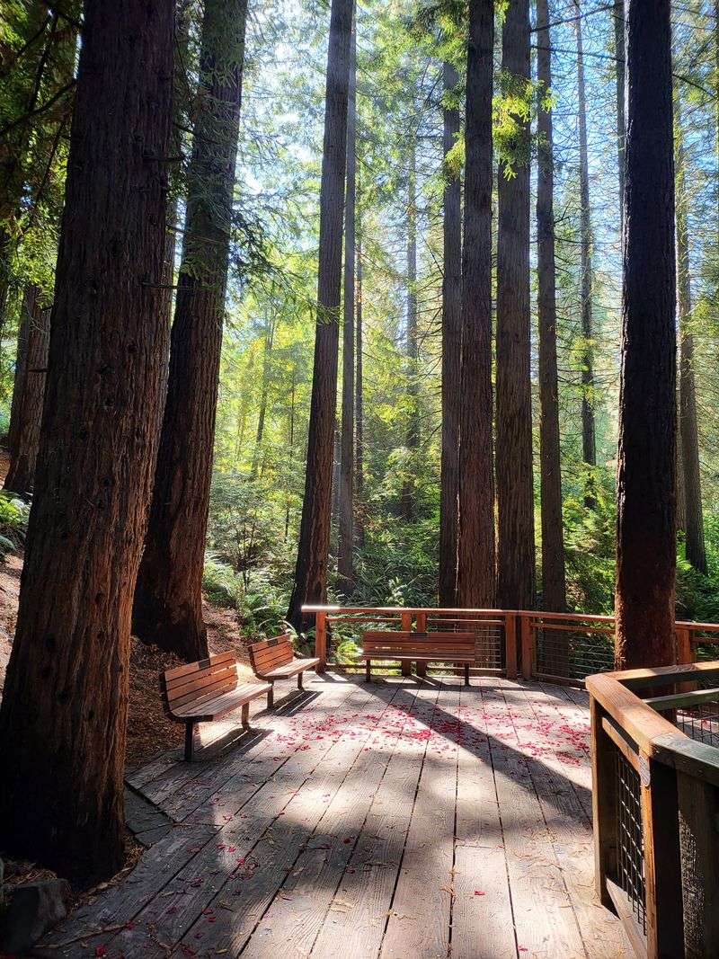 Hoyt Arboretum, Portland