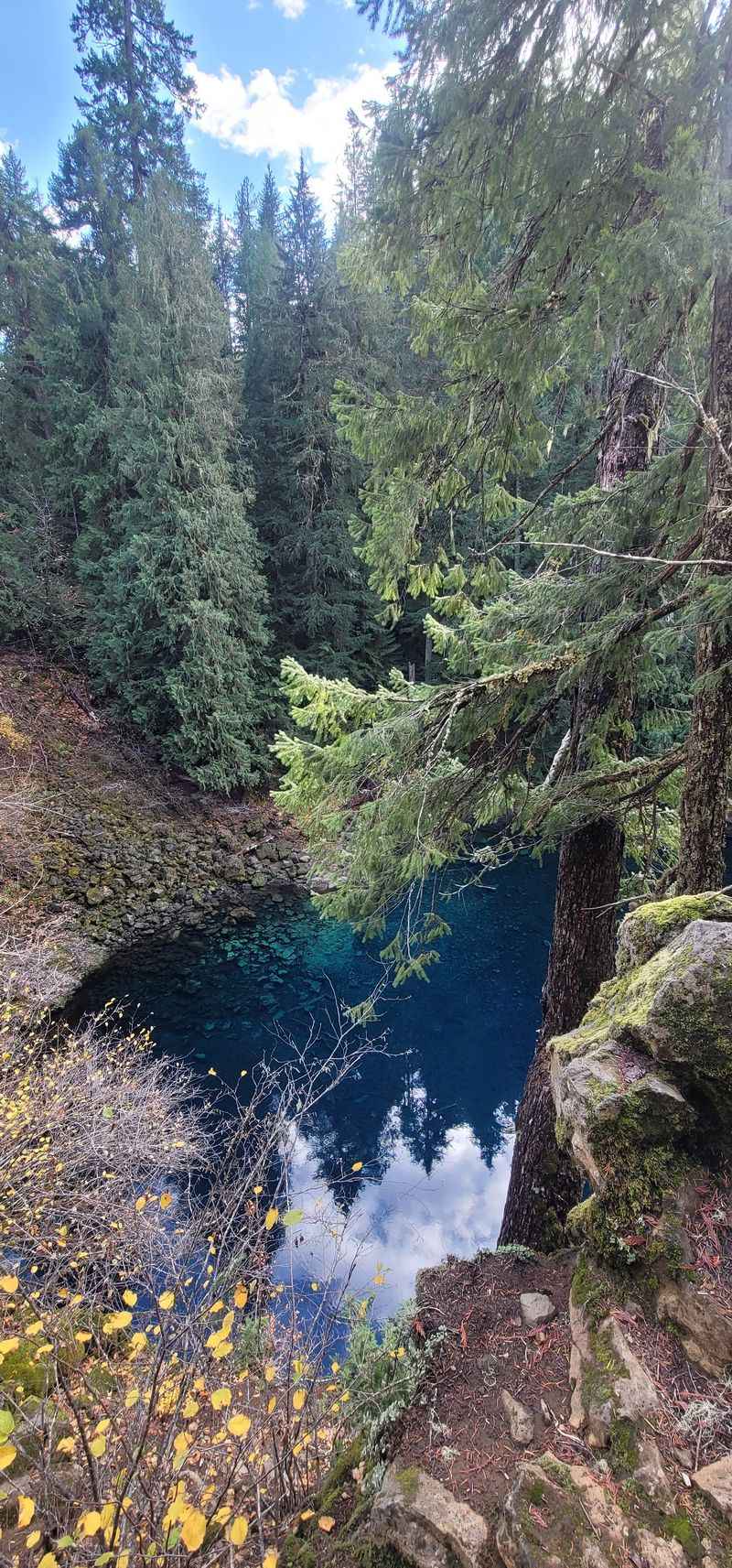 Blue Pool on the McKenzie River
