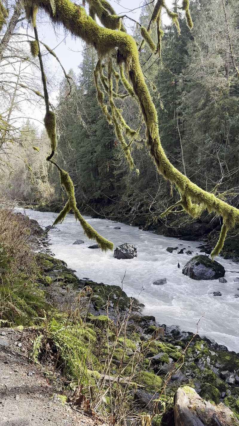 Robe Canyon Historic Trail, Riverwood Forest Echoes