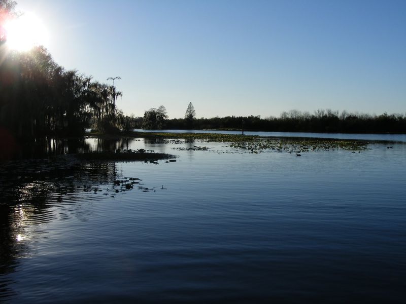 Ocala