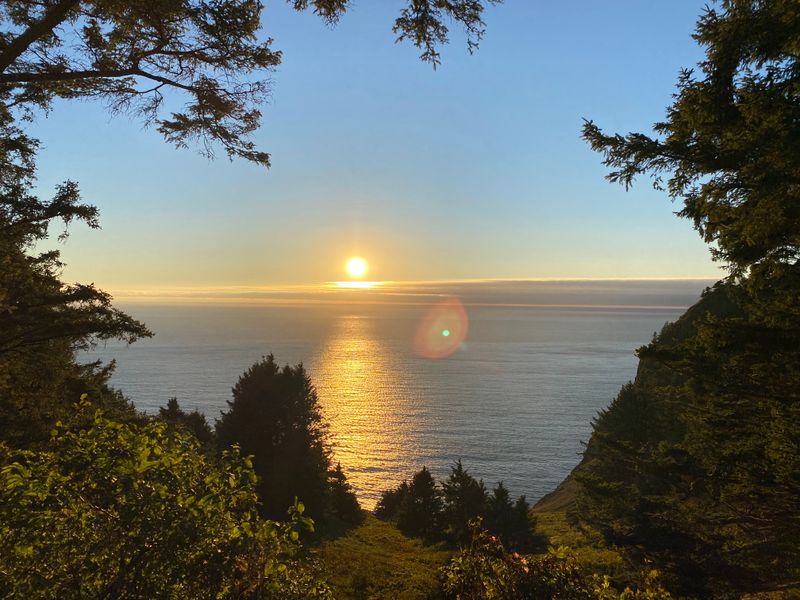 Gateway Inside Oswald West State Park