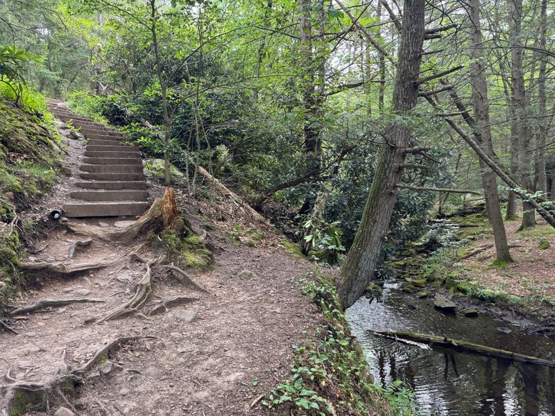 The Atmosphere Changes Dramatically After Sunset